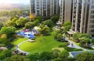 成都公园舆论爆料案件最新,真相与争议交织的公共事件